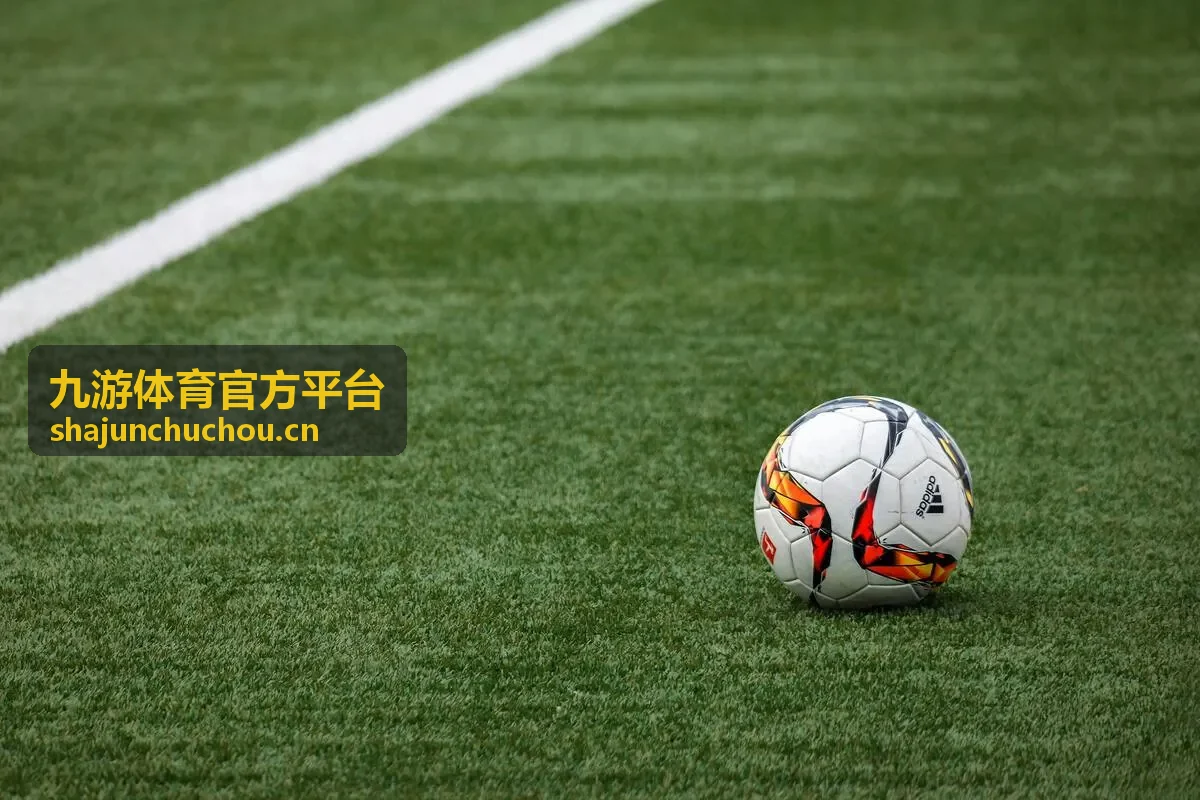 九游体育官方平台客服与常见问题缩略图